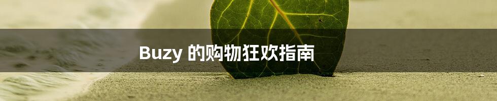 Buzy 的购物狂欢指南