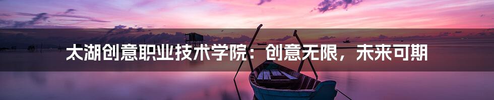 太湖创意职业技术学院:创意无限,未来可期