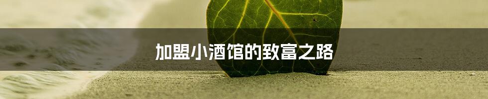 加盟小酒馆的致富之路