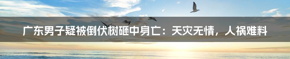 广东男子疑被倒伏树砸中身亡:天灾无情,人祸难料