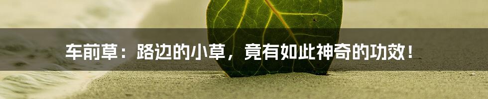 车前草:路边的小草,竟有如此神奇的功效!
