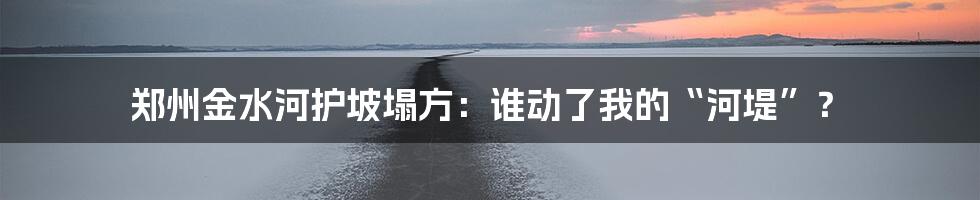 郑州金水河护坡塌方:谁动了我的“河堤”?