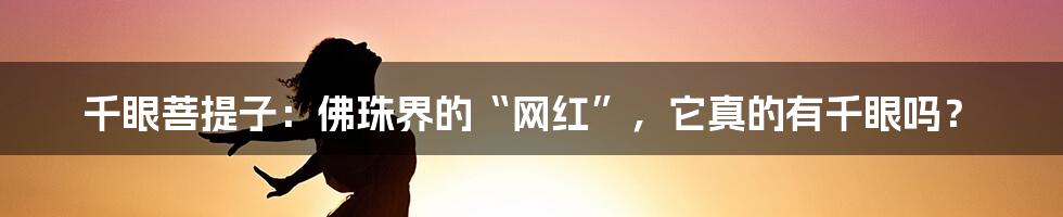 千眼菩提子:佛珠界的“网红”,它真的有千眼吗?
