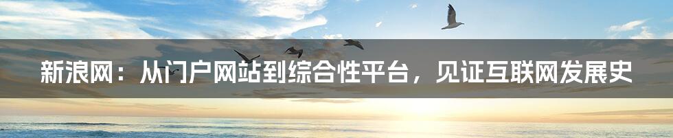 新浪网：从门户网站到综合性平台，见证互联网发展史