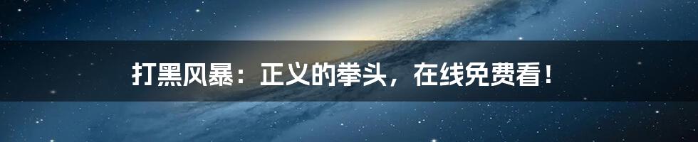 打黑风暴:正义的拳头,在线免费看!