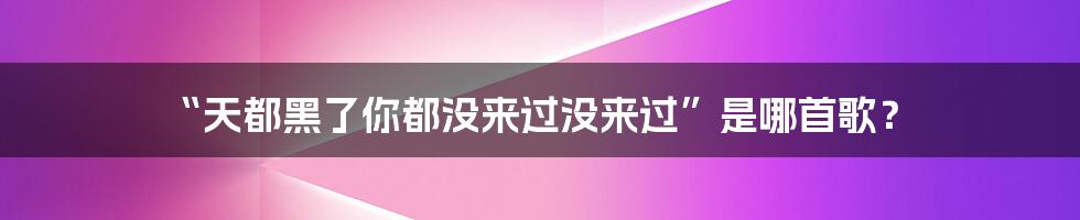 “天都黑了你都没来过没来过”是哪首歌?