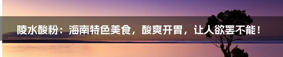 陵水酸粉:海南特色美食,酸爽开胃,让人欲罢不能!