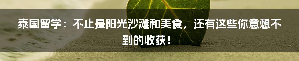 泰国留学:不止是阳光沙滩和美食,还有这些你意想不到的收获!