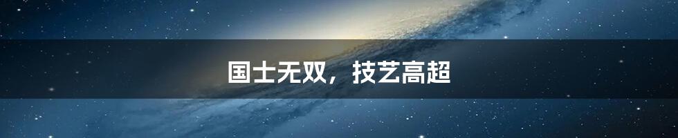 国士无双,技艺高超