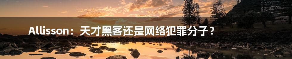 Allisson:天才黑客还是网络犯罪分子?