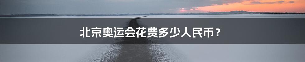北京奥运会花费多少人民币?