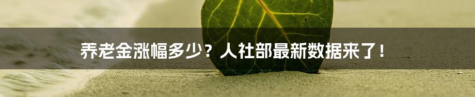 养老金涨幅多少?人社部最新数据来了!