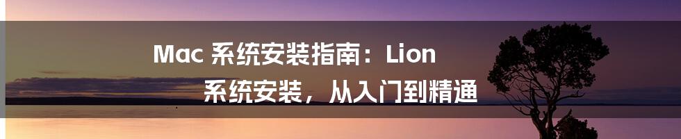 Mac 系统安装指南：Lion 系统安装，从入门到精通