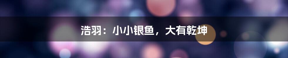 浩羽:小小银鱼,大有乾坤