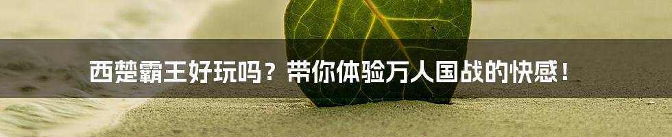 西楚霸王好玩吗?带你体验万人国战的快感!