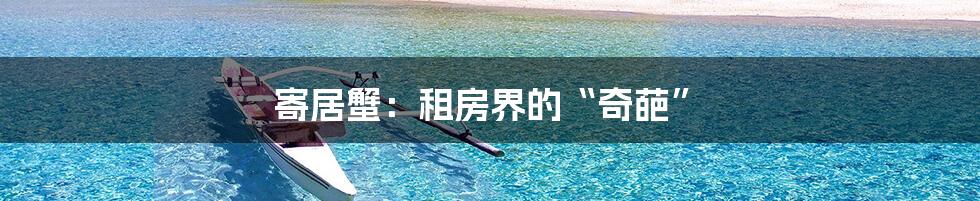 寄居蟹:租房界的“奇葩”