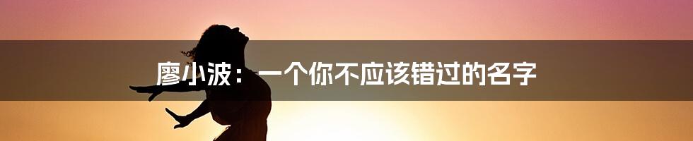 廖小波:一个你不应该错过的名字