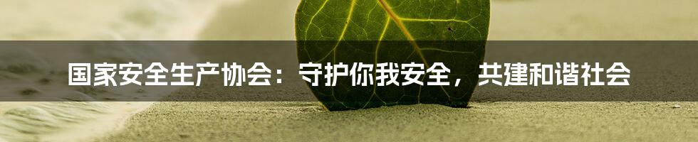 国家安全生产协会：守护你我安全，共建和谐社会
