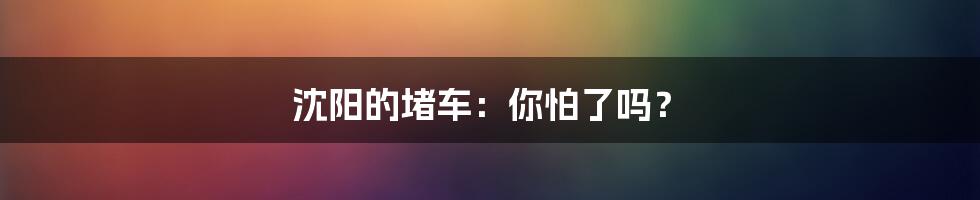 沈阳的堵车:你怕了吗?