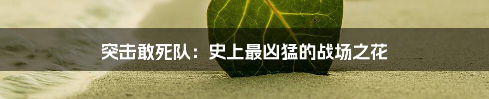 突击敢死队:史上最凶猛的战场之花