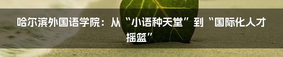 哈尔滨外国语学院:从“小语种天堂”到“国际化人才摇篮”