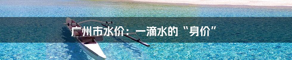 广州市水价:一滴水的“身价”