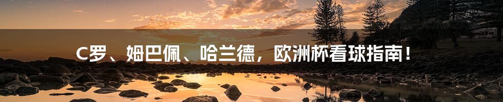 C罗、姆巴佩、哈兰德,欧洲杯看球指南!