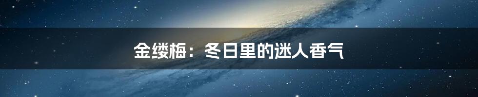 金缕梅:冬日里的迷人香气