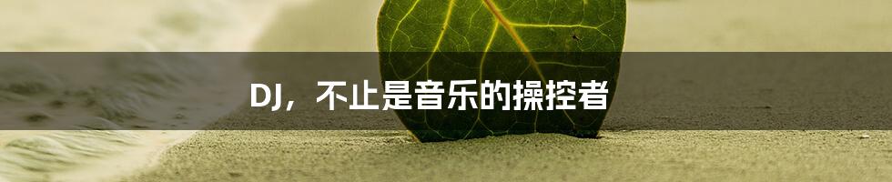 DJ,不止是音乐的操控者