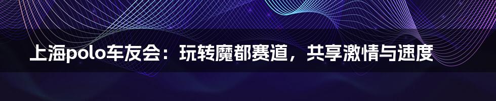 上海polo车友会:玩转魔都赛道,共享激情与速度