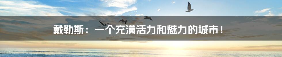 戴勒斯：一个充满活力和魅力的城市！