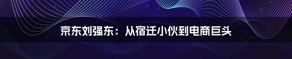 京东刘强东:从宿迁小伙到电商巨头