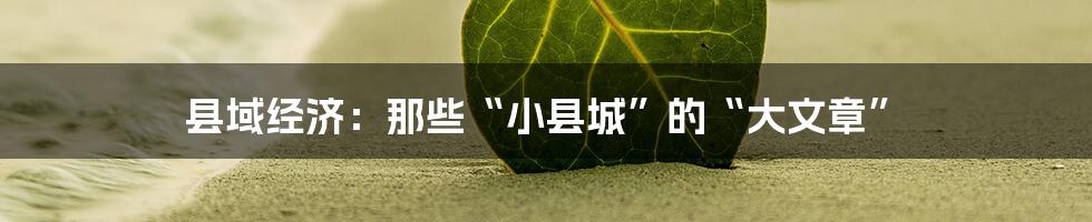 县域经济:那些“小县城”的“大文章”
