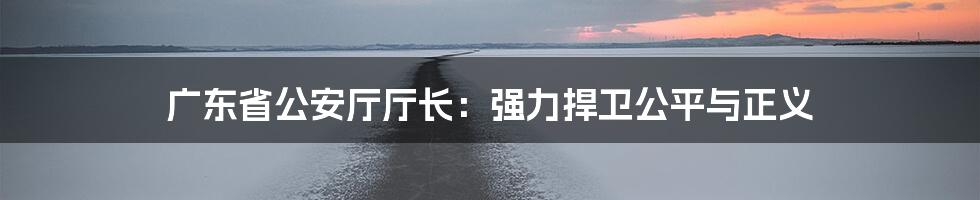 广东省公安厅厅长:强力捍卫公平与正义