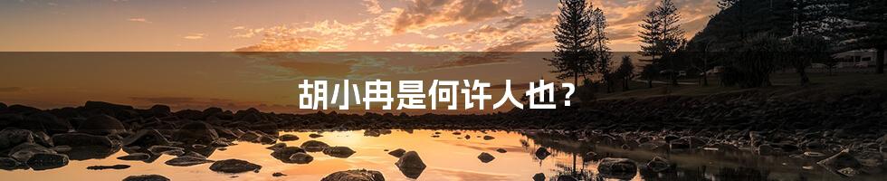 胡小冉是何许人也?