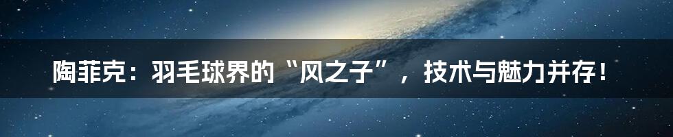 陶菲克:羽毛球界的“风之子”,技术与魅力并存!