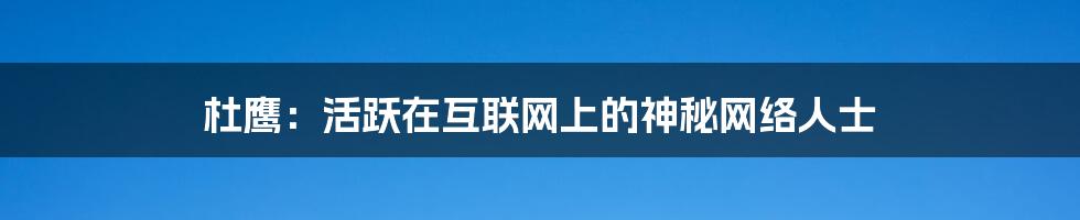 杜鹰:活跃在互联网上的神秘网络人士