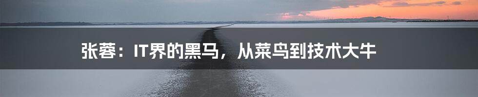 张蓉:IT界的黑马,从菜鸟到技术大牛