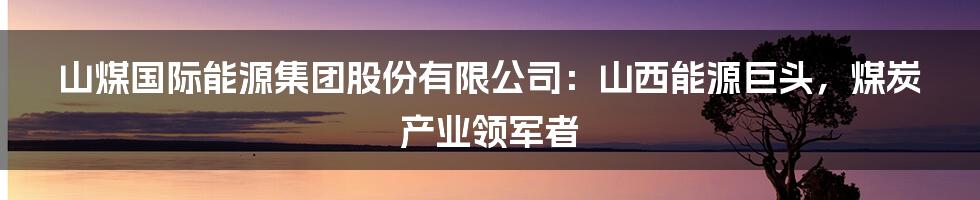 山煤国际能源集团股份有限公司:山西能源巨头,煤炭产业领军者