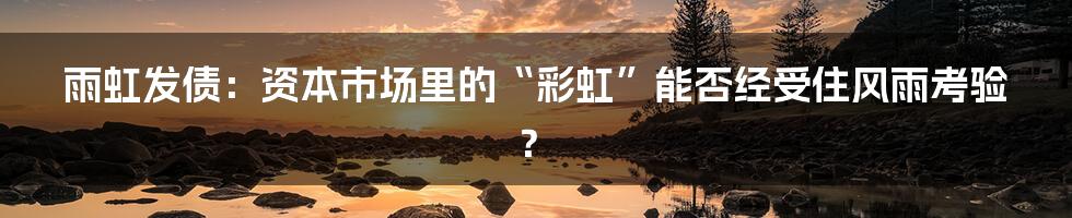 雨虹发债:资本市场里的“彩虹”能否经受住风雨考验?