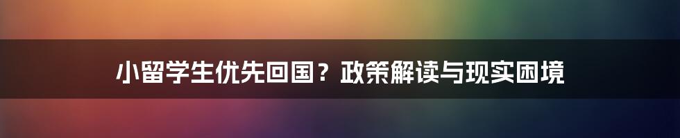 小留学生优先回国？政策解读与现实困境
