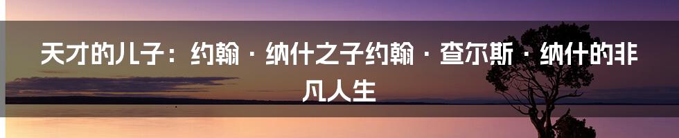 天才的儿子:约翰·纳什之子约翰·查尔斯·纳什的非凡人生