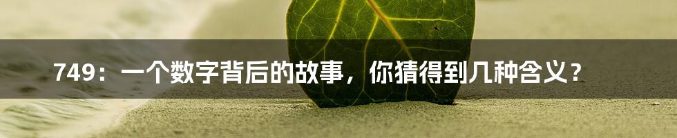 749：一个数字背后的故事，你猜得到几种含义？
