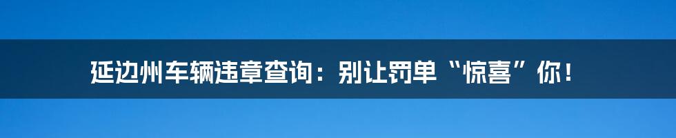 延边州车辆违章查询:别让罚单“惊喜”你!