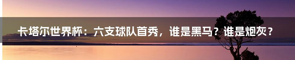 卡塔尔世界杯:六支球队首秀,谁是黑马?谁是炮灰?