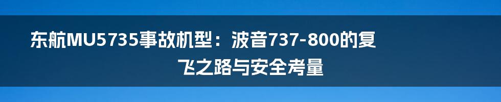 东航MU5735事故机型:波音737-800的复飞之路与安全考量