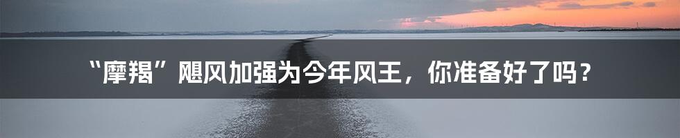 “摩羯”飓风加强为今年风王,你准备好了吗?