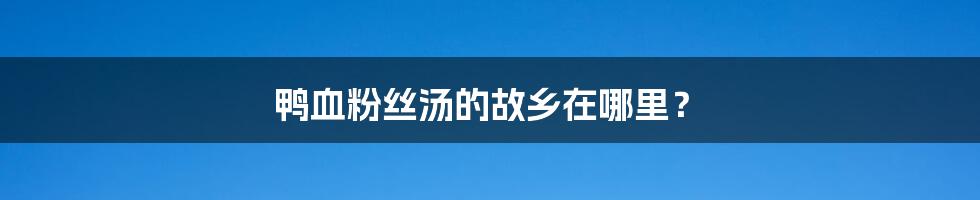 鸭血粉丝汤的故乡在哪里?