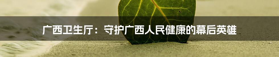 广西卫生厅:守护广西人民健康的幕后英雄