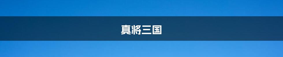 真将三国
